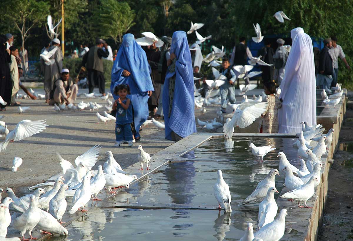 afghan-women-feeding-birds